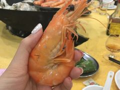 -蚝专家(北滘店)