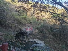 -宁波市保国寺古建筑博物馆