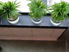 -Juicy Bakery(瑞景店)