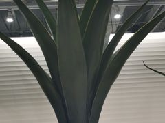 -兰湘子·湘菜小炒(崂山丽达店)