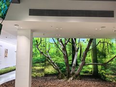 -极简口腔(总院)
