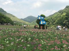 -广州市石门国家森林公园