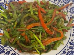 -新新湘菜馆(新中街二条店)