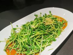 白灼豆苗-火宫殿·湘菜小吃·商务宴请·生日聚会(市府店)