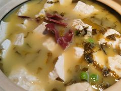 -佬肥猫(七宝宝龙店)