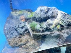-鹿儿岛水族馆