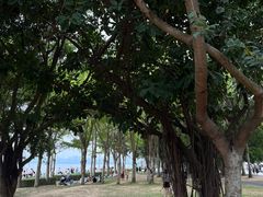 -深圳湾公园(南山区)