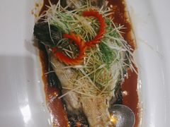 清蒸老虎斑-宝燕壹号(徐汇店)