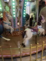 点击看大图 -卡通尼·Safari非洲探索乐园·生日会(金桥国际商业广场店)