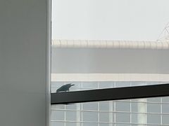 -南昌昌北国际机场