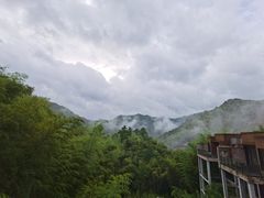 -宁海安岚·南溪阁全日餐厅
