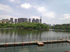 -重庆彩云湖湿地公园