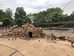 -西安秦岭野生动物园