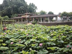 -广州莲花山旅游区