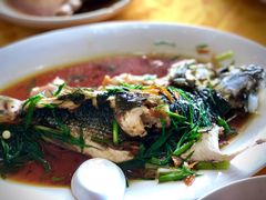 柠檬蒸乌头鱼-安记烧鹅(新桥店)