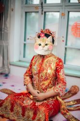 -乔伊婚纱