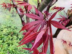 -七彩云南古滇温泉山庄