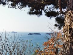 -燕窝岭