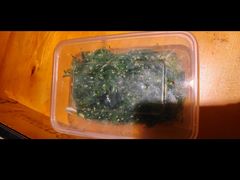 -有才叔的小馆(招商依云曲江店)