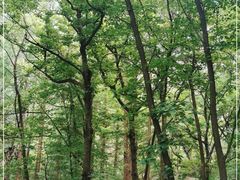 -崂山九水游览区