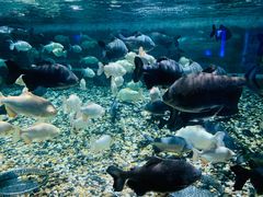 -成都浩海立方海洋公园