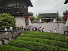 -大唐贡茶院