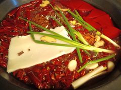 纯牛油锅底-黄潇洒老火锅(九眼桥宏济巷店)