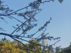 -荔枝公园(福田区)