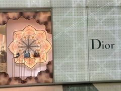 -Dior迪奥(国贸商城店)