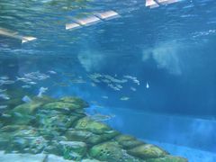 -厦门海底世界