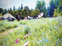 -上海滨江森林公园