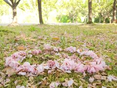 -苏州河梦清园环保主题公园