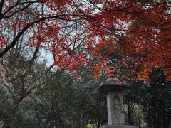 -汇龙潭