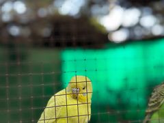 -史努比缤纷世界