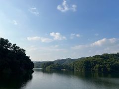 -天鹿湖森林公园