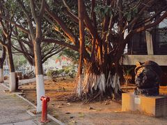 -福州大学厦门工艺美术学院(集美校区)
