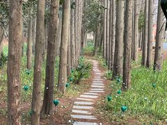 -上海长兴岛郊野公园