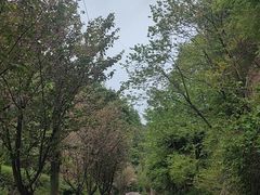 -抱龙峪