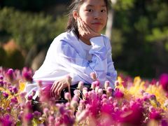 -广州白江湖森林公园