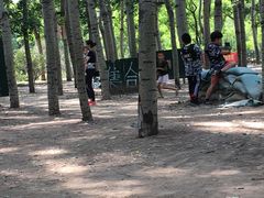 -朝阳公园真人CS