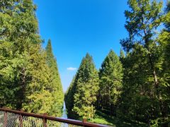 -黄海国家森林公园