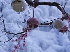 -黑龙潭风景区