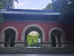 -灵谷景区