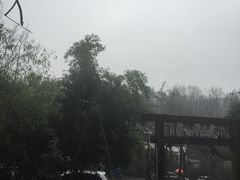 -旅马餐厅(茅家埠店)