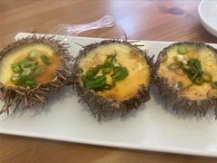 海胆蒸蛋-海胆小馆(春柳店)