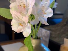 -淮扬府·游园京梦(中粮广场店)