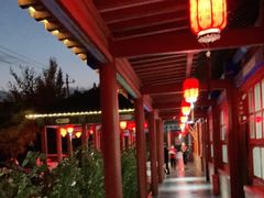 -中卫御苑福膳·养生局(圆明园店)