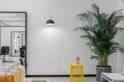 -T8 SALON