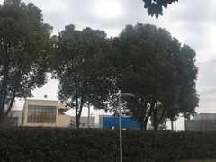 -九里河湿地公园