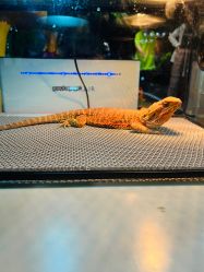 -酷嗒动物文化乐园(cutezoo西溪乐天城店)